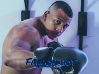 Falcon_hot
