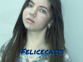 Felicecatts