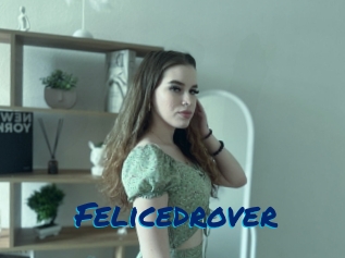 Felicedrover
