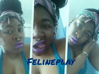 Felineplay