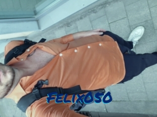 Felix050