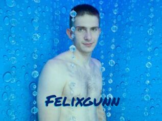 Felixgunn