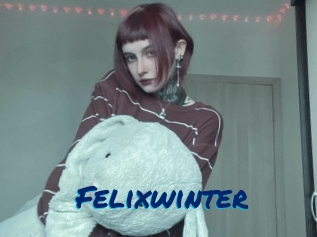 Felixwinter