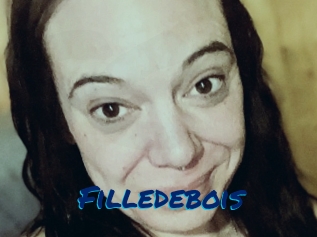 Filledebois