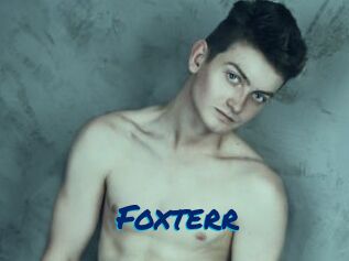 Foxterr