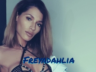Freyadahlia