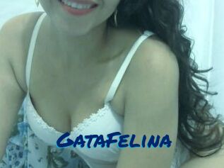 GataFelina