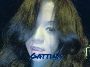 Gattina