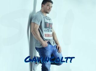 GavinColtt