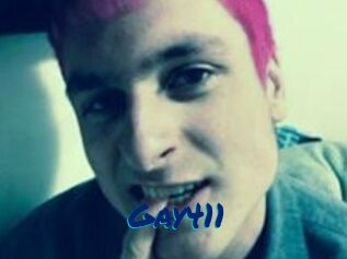 Gay411