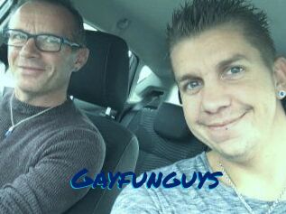 Gayfunguys