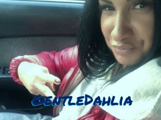 GentleDahlia