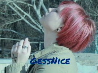 GessNice