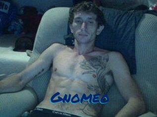 Gnomeo