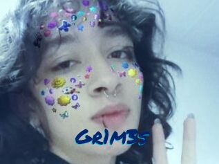 Gr1m3s