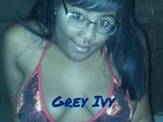 Grey_Ivy