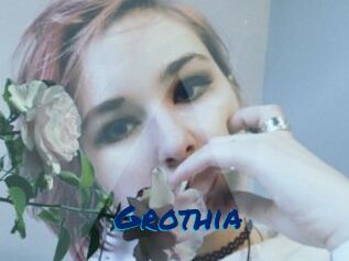 Grothia