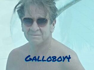 Galloboy4