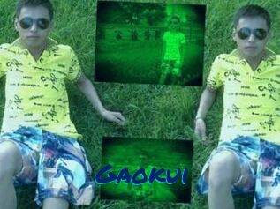 Gaokui