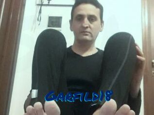 Garfild18