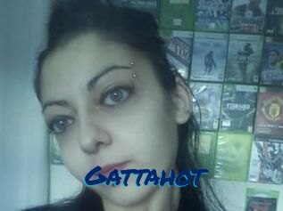 Gattahot