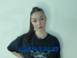 Gaybulkley