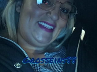 Grosseins88