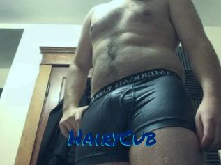 HairyCub