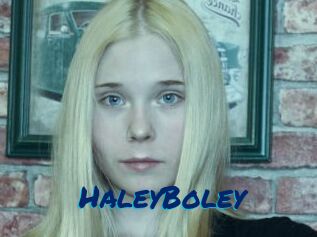 HaleyBoley