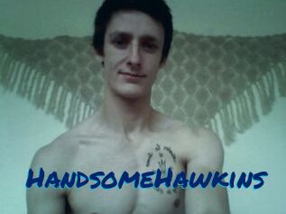 HandsomeHawkins