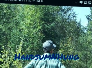 HandsumNHung