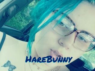 HareBunny