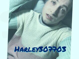Harley307703