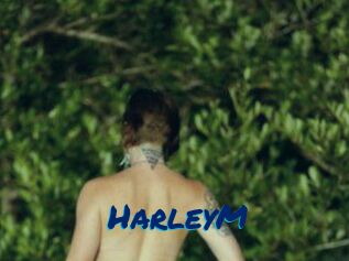 HarleyM