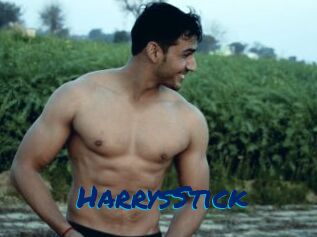 HarrysStick