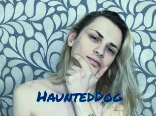 HauntedDog