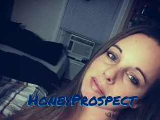 HoneyProspect