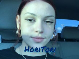 HoriTori
