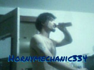 Hornymechanic334