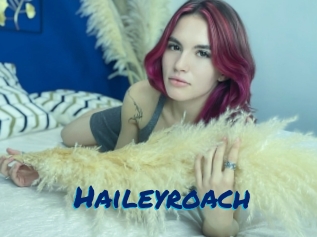 Haileyroach
