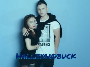 Halleyandbuck