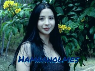 Hamnaholmes