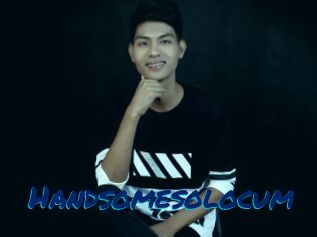 Handsomesolocum