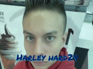 Harley_hard24