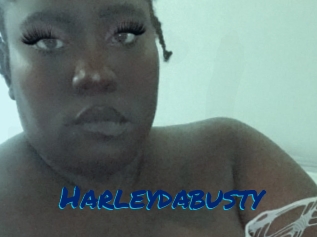 harleydabusty Sexe City