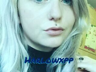 Harlowxpp