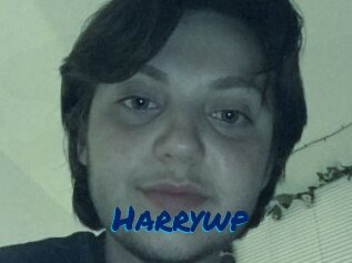 Harrywp
