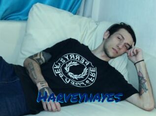 Harveyhayes