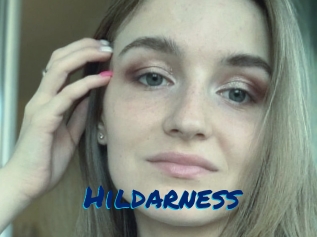 Hildarness