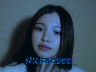 Hildbisbee